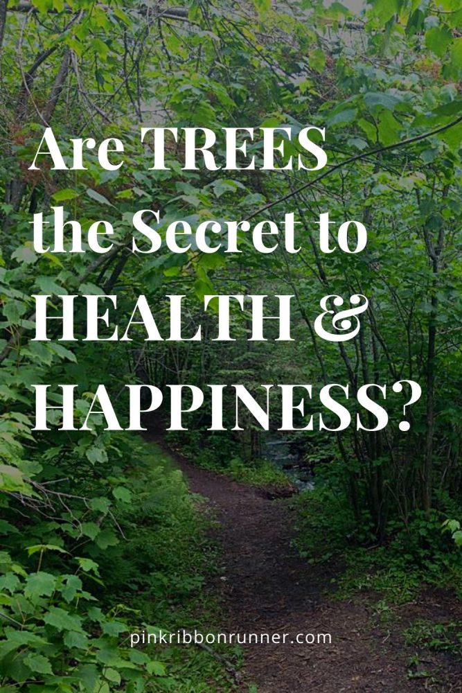 Health Benefits of Trees, Hiking and Forest Bathing